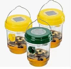 Solar wasp and hornet trap